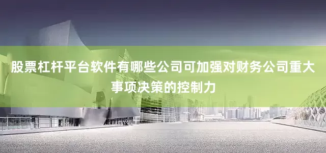 股票杠杆平台软件有哪些公司可加强对财务公司重大事项决策的控制力